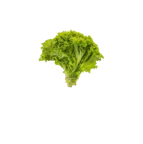 Lettuce and greens